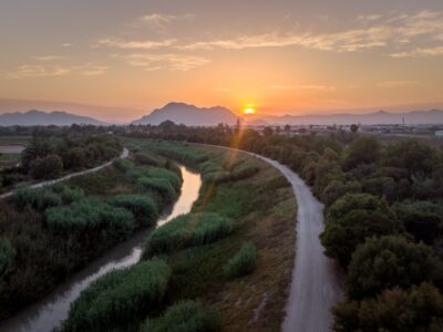 Almoradí estrenará el 2 de marzo la actividad "Paseando entre alcachofas"