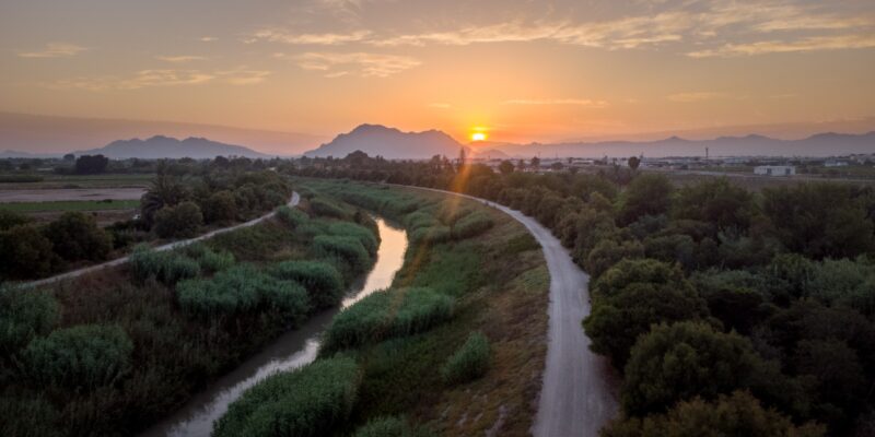 Almoradí estrenará el 2 de marzo la actividad "Paseando entre alcachofas"