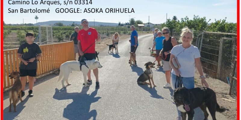 Asoka Orihuela organiza una nueva edición de los 'Paseos Solidarios'