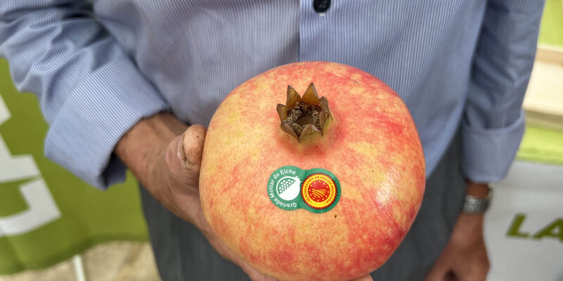 Los agricultores de la Vega Baja pueden ya inscribir sus cultivos en la Denominación de Origen de la Granada Mollar