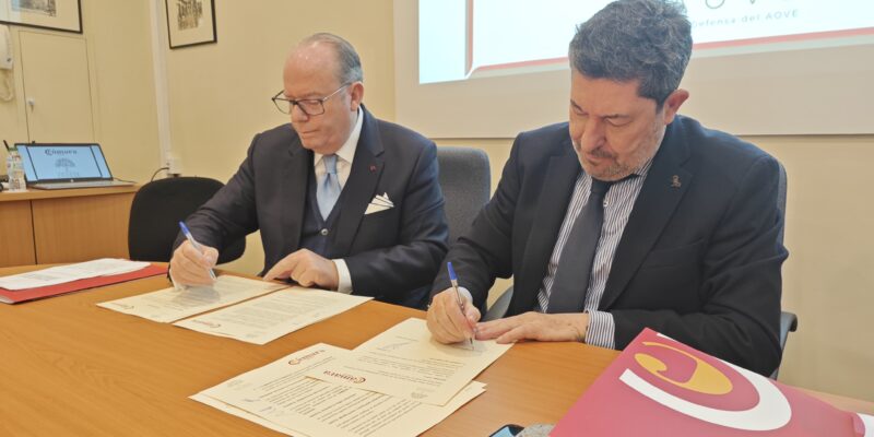 Adaove tendrá su sede social en la Cámara de Comercio de Orihuela