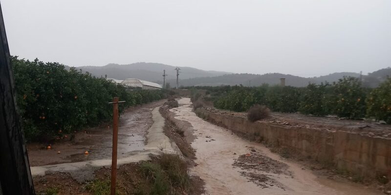 LA UNIÓ considera beneficiosas las lluvias para el campo de la Comunidad Valenciana