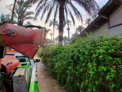 La concejala de Medio Ambiente de Orihuela, Noelia Grao, ha anunciado que ha salido hoy a licitación el contrato para la prevención de plagas de mosquitos y quironómidos en todo el término municipal