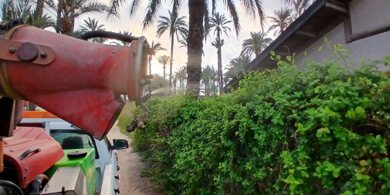 La concejala de Medio Ambiente de Orihuela, Noelia Grao, ha anunciado que ha salido hoy a licitación el contrato para la prevención de plagas de mosquitos y quironómidos en todo el término municipal