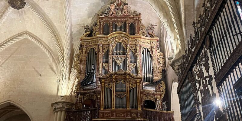 ORGANISTA Juan de la Rubia Organista titular de la Basílica de la Sagrada Familia de Barcelona. Juan de la Rubia, organista titular de la Basílica de la Sagrada Familia de Barcelona, es originario de la Vall d’Uixó (Castellón). Su educación artística se desarrolló en varias capitales europeas en los ámbitos del órgano, piano e improvisación, trabajando esta última con Emilio Molina y Wolfgang Seifen. Los premios extraordinarios obtenidos al finalizar los estudios y los primeros premios en el Concurso Permanente de Juventudes Musicales de España y el Primer Palau influyeron significativamente en el inicio de su carrera. Su activa labor como solista le ha permitido actuar en destacados escenarios de más de treinta países alrededor del mundo y ha desempeñado roles de solista y director junto a orquestas como la Orquesta Nacional de España, Orquesta de RTVE, ORCAM, las Orquestas Sinfónicas de Galicia, Bilbao, Principado de Asturias, Castilla y León y Orquesta Filarmónica de Bogotá, entre otras destacadas formaciones. En el campo de la interpretación históricamente informada, ha trabajado con Les Siècles y ha dirigido a la Freiburger Barockorchester, la Orquesta Barroca de Tenerife y, recientemente, ha impulsado la creación de su propia orquesta: la Orquestra del Miracle obteniendo excelente acogida de público y crítica en su presentación en junio de 2023. Además, ha colaborado con solistas como Matthias Goerne, Carolyn Sampson, Elena Obraztsova, Marta Mathéu, Philippe Jaroussky -con quien grabó el CD “Sacred Cantatas” (Erato, 2016), nominado a un Premio Grammy- o Marco Mezquida con quien ha desarrollado el proyecto de improvisación Bach&Forward. De la Rubia se ha especializado también en la improvisación sobre películas de cine mudo, incluyendo obras como Faust y Nosferatu (Murnau), Metropolis (Lang), El maquinista de la general (Keaton) o El gabinete del Dr. Caligari (Wiene).