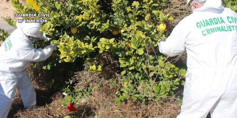 La Guardia Civil detiene a dos personas por el homicidio de un hombre en Rojales