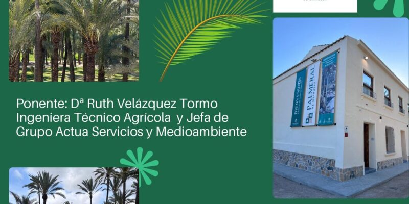 Orihuela celebra la I Jornada 'Juntos por el futuro del Palmeral'