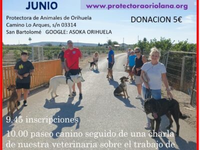 Asoka organiza en Orihuela una nueva jornada de Peseo Solidario el 8 de junio
