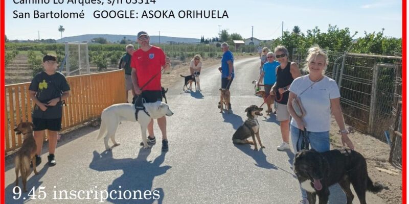 Asoka organiza en Orihuela una nueva jornada de Peseo Solidario el 8 de junio