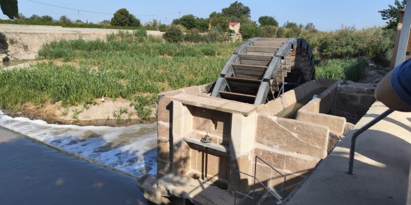 La Concejalía de Agricultura del Ayuntamiento de Orihuela trabaja en un proyecto integral destinado a la conservación y el mantenimiento de las Norias Gemelas Moquita y Pando, elementos históricos del regadío tradicional de la huerta oriolana