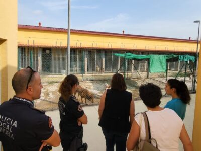 Orihuela destina 200.000 euros a la adecuación del Centro de Protección Animal