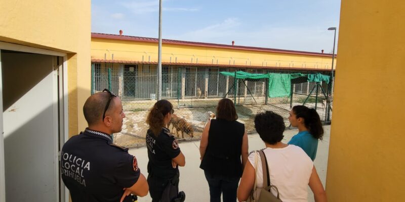 Orihuela destina 200.000 euros a la adecuación del Centro de Protección Animal