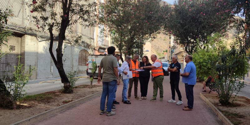 El Ayuntamiento de Orihuela, a través de la Concejalía de Mercados que dirige Noelia Grao, ha iniciado hoy las obras de reurbanización de El Paseo (antes conocido como de Calvo Sotelo)