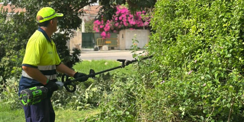 Torrevieja mejora los espacios verdes de la urbanización Los Ángeles