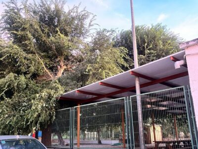 Cambiemos Orihuela alerta del peligro por una rama de árbol caída en el colegio de Arneva
