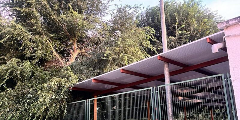 Cambiemos Orihuela alerta del peligro por una rama de árbol caída en el colegio de Arneva