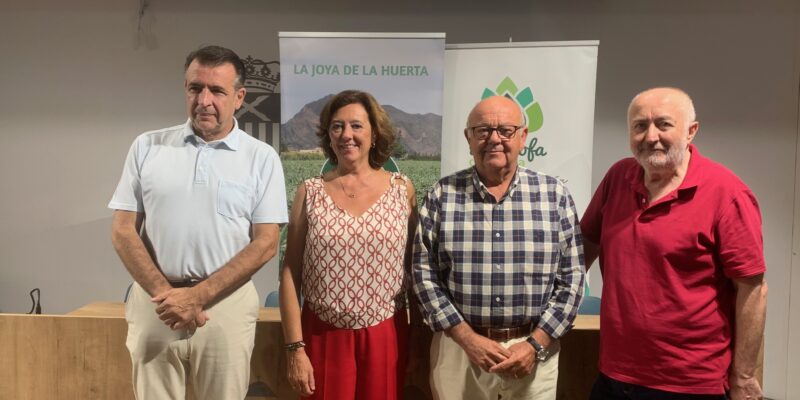 Diez cocineros competirán en el III Concurso Nacional de la Mejor Receta con Alcachofa de la Vega Baja