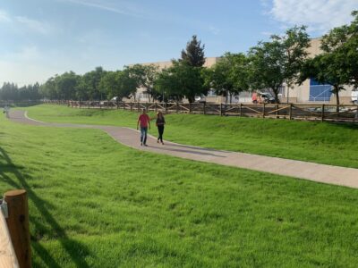 El Ayuntamiento de Almoradí ha finalizado las obras del nuevo Sistema Urbano de Drenaje Sostenible (SUDS), una actuación pionera en el municipio que mejora la gestión del agua de lluvia y reduce el riesgo de inundaciones en episodios tormentosos