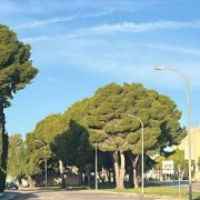 El Ayuntamiento de Orihuela licita la renovación del alumbrado público en la costa con una inversión de más de 416.000 euros