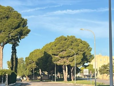 El Ayuntamiento de Orihuela licita la renovación del alumbrado público en la costa con una inversión de más de 416.000 euros
