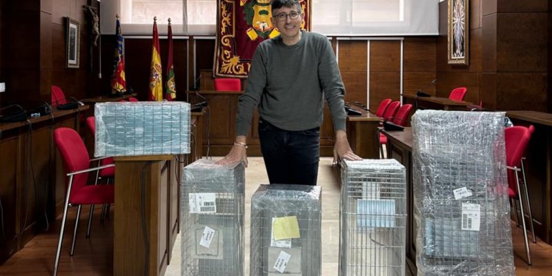 Callosa impulsa su plan municipal de gestión de colonias felinas