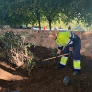 Torrevieja desarrolla una actuación integral de mejora en la Avenida Pinoso