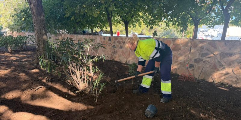Torrevieja desarrolla una actuación integral de mejora en la Avenida Pinoso