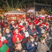 Almoradí celebra una multitudinaria Feria de Navidad