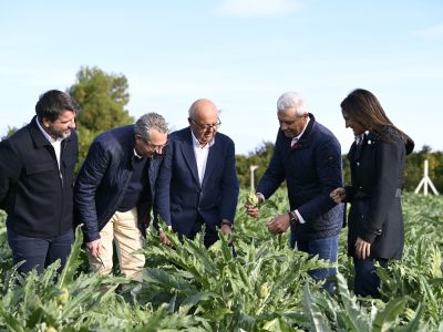 La Vega Baja inaugura la temporada de alcachofas en Daya Nueva