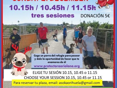 Asoka Orihuela organiza un Peseo Solidario Canino