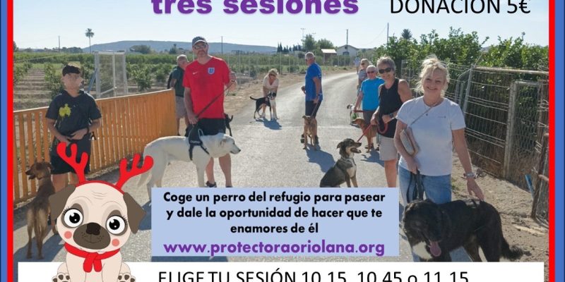 Asoka Orihuela organiza un Peseo Solidario Canino