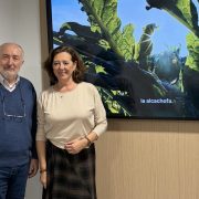 Almoradí presenta en FITUR el Congreso de la Alcachofa, el Museo del Terremoto y la Samana Santa