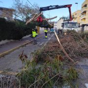 Torrevieja atiende 85 incidencias por el temporal de viento
