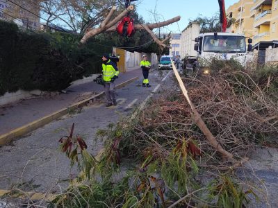 Torrevieja atiende 85 incidencias por el temporal de viento