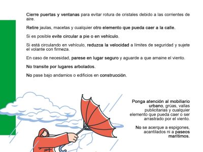 Orihuela suspende la actividad escolar en el entorno del Palmeral