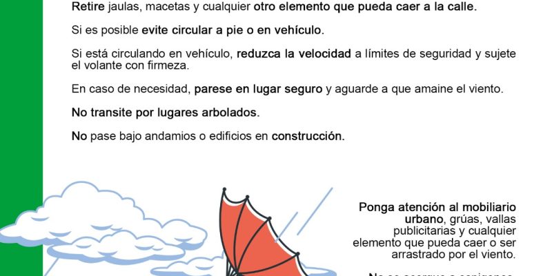 Orihuela suspende la actividad escolar en el entorno del Palmeral