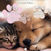 Torrevieja rinde homenaje a San Antón con la bendición de mascotas