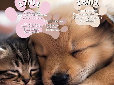 Torrevieja rinde homenaje a San Antón con la bendición de mascotas