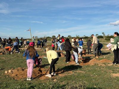 Continúa la plantación de especies autóctonas en el Parque Natural de Torrevieja