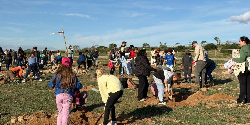 Continúa la plantación de especies autóctonas en el Parque Natural de Torrevieja