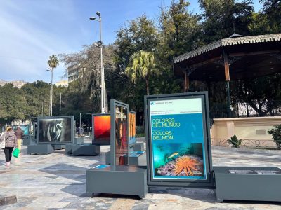 Orihuela inaugura la exposición “Colores del mundo”, organizada por la Fundación La Caixa en colaboración con el Ayuntamiento y que se puede ver ya en la Glorieta Gabriel Miró hasta el 20 de febrero