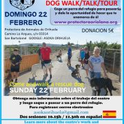 Los ‘Paseos solidarios’ regresan a Asoka Orihuela para dar visibilidad a los perros del refugio