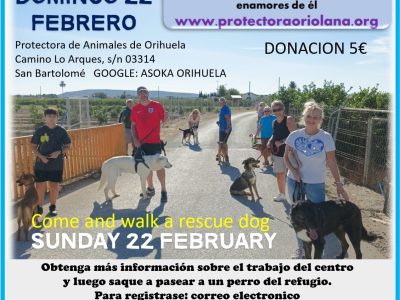 Los ‘Paseos solidarios’ regresan a Asoka Orihuela para dar visibilidad a los perros del refugio