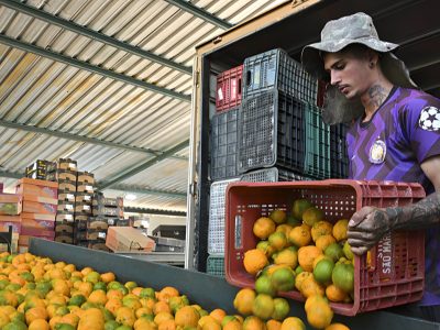 LA UNIÓ exige contingentes y aranceles para los cítricos y reitera su rechazo al acuerdo UE-Mercosur