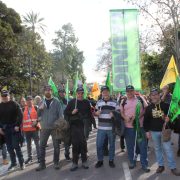 Agricultores y tractores valencianos se movilizan en Madrid contra las políticas agrarias