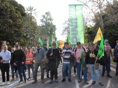Agricultores y tractores valencianos se movilizan en Madrid contra las políticas agrarias