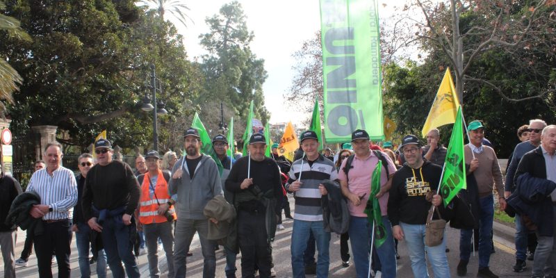 Agricultores y tractores valencianos se movilizan en Madrid contra las políticas agrarias